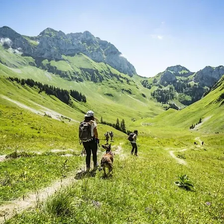 Hameau Des 4 Saisons Hsa14 Mountain & Sun 4 Pers Apartament Châtel
