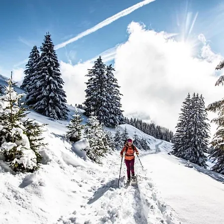 Hameau Des 4 Saisons Hsa14 Mountain & Sun 4 Pers *